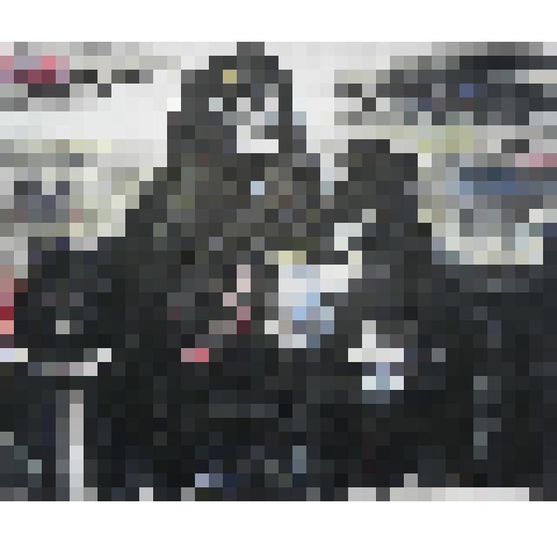 Рисунок «Песнь о Нибелунгах. Дитрих фон Берн»