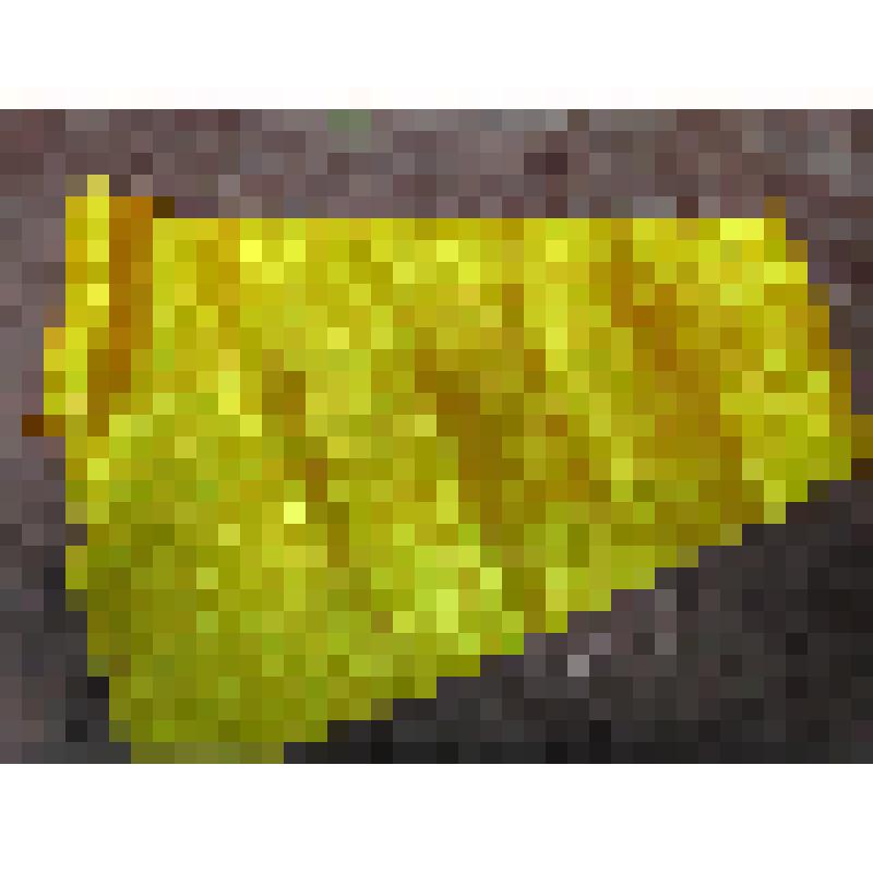 Пояс