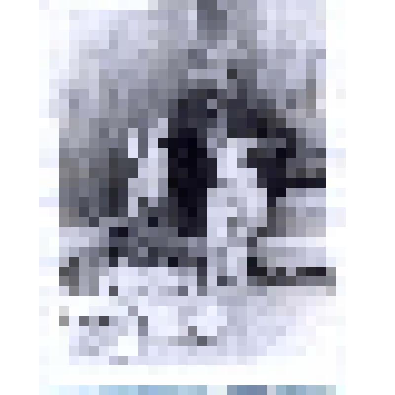 Фотография. Д.А. Козюков демонстрирует сплетенные лапти