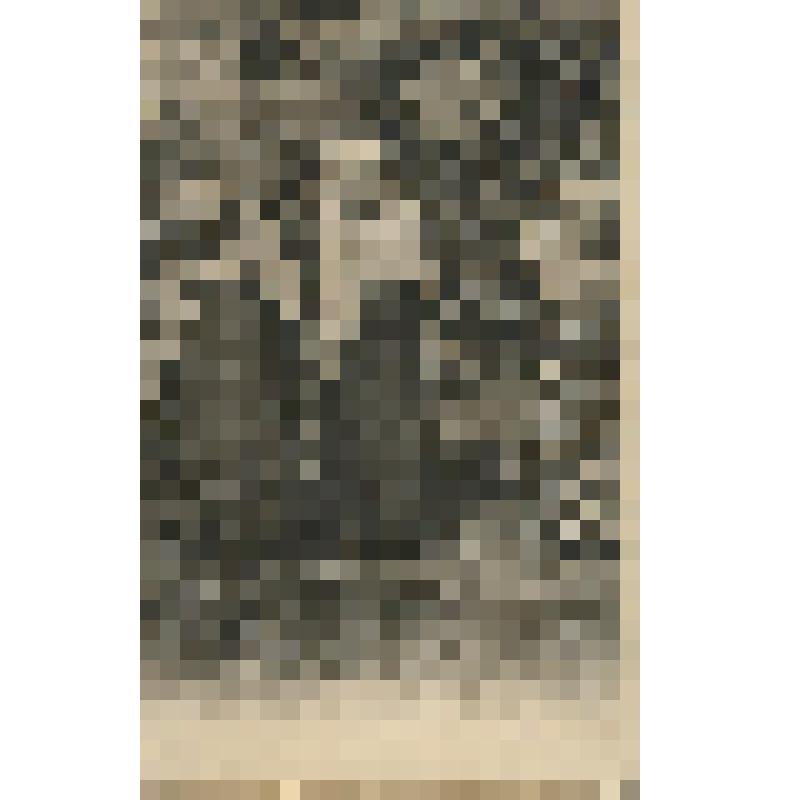 Открытка.Русские типы. «Деревенские девочки»