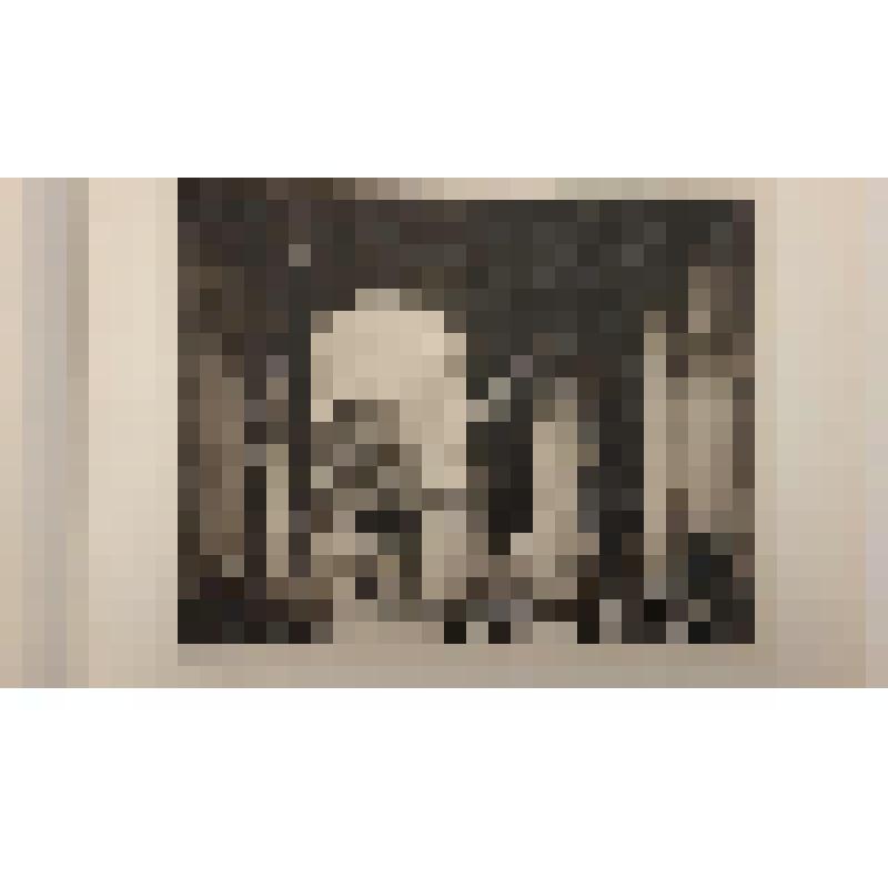 Собор Св. Петра в Риме. Внутренний вид. Malcolm C. Salamon, London