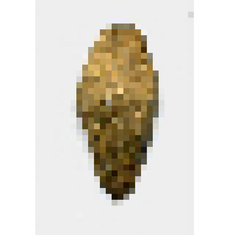 Фрагмент (заготовка?) изделия