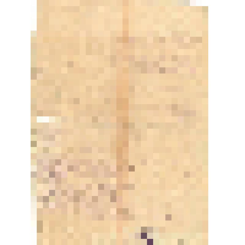 Российская социал-демократическая рабочая партия. Московский комитет РСДРП. "На собрании 17 октября Московский комитет  РСДРП принял следующую резолюцию:"