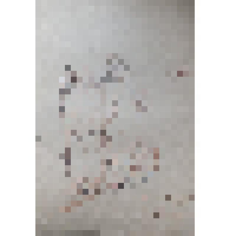 Рисунки-наброски периода Великой Отечественной войны  Бабикова Геннадия Федоровича, ветерана  2 ГКК( второго гвардейского кавалерийского корпуса), заслуженного  деятеля искусств Туркменской ССР.
набросок "Пленные мадьяры. д.Журавка. 4.3.43г."