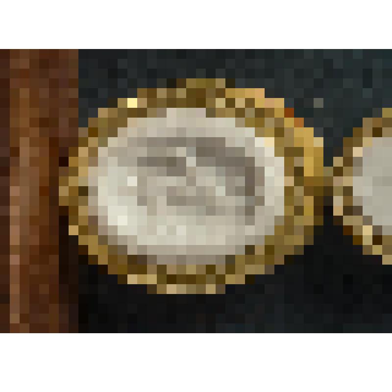 Гемма. Слепок. Пегас