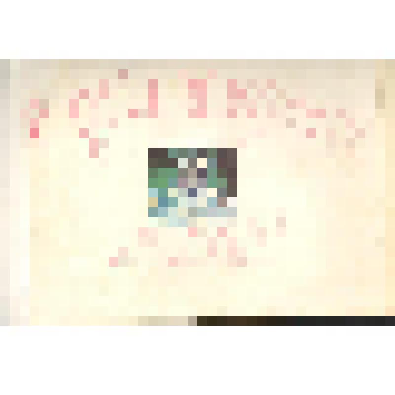 Документ. Альбом "С днем рождения малыш!" Передан отделом ЗАГС Приуральского района п.Аксарка 2000 г