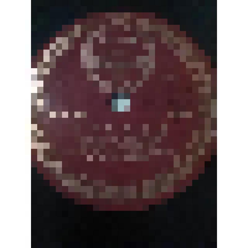 Грампластинка. 1. Монолог Отелло перед Сенатом из трагедии У. Шекспира "Отелло". Исполняет А.А. Остужев. 2. Диалог Отелло и Яго из трагедии У. Шекспира "Отелло". Исполняют: А.А. Остужев, В.Э. Мейер. "Отелло". Москва, Государственный академический Малый те