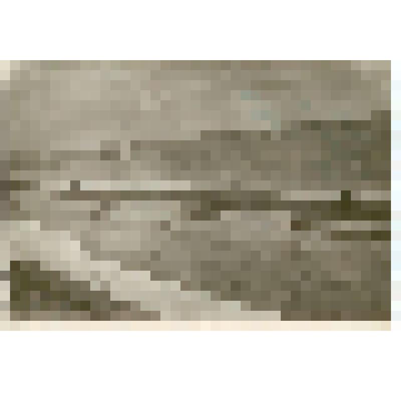 Фотография. Саратов. Набережная. Первый ярус. Фрагмент