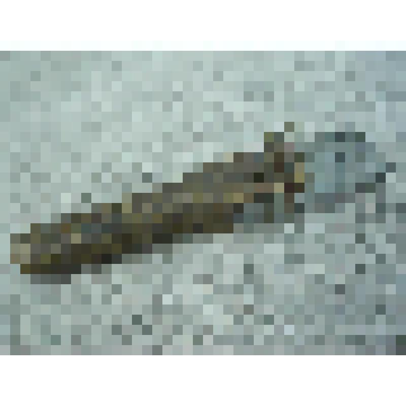 Правильник для точки кос