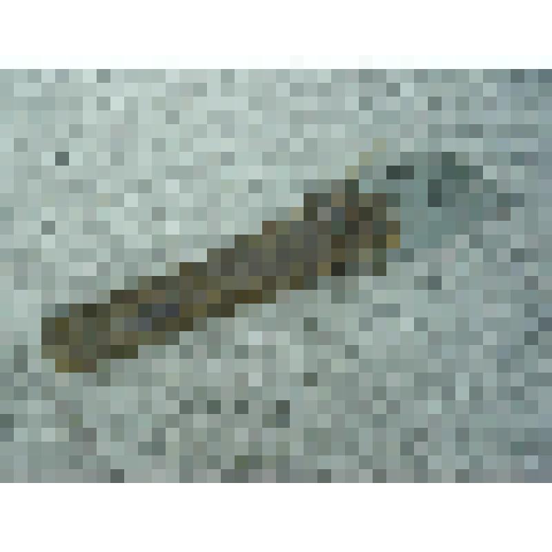 Правильник для точки кос