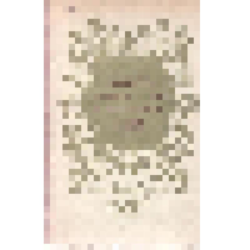 Книга. Путешествие в молодость. Поэма / Перевод с украинского Н. Ушакова. М.: "Советский писатель", 1945