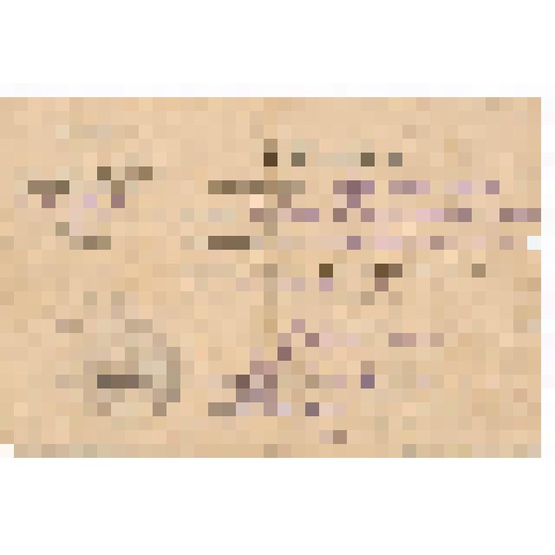 Справка № 298, выданная Сокольническим Районным Военным Комиссариатом семье Рудого Петра Михайловича о его мобилизации 18 октября 1941 г