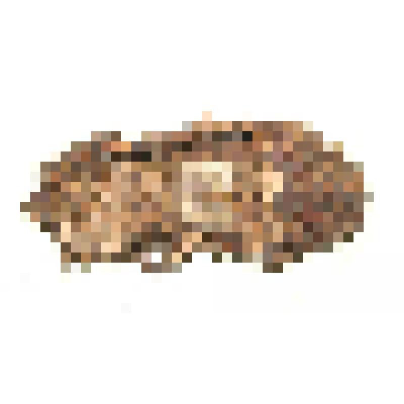 Лапоть берестяной