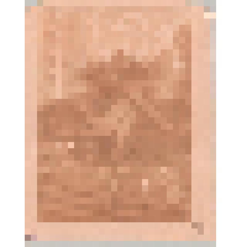 Московские огороды