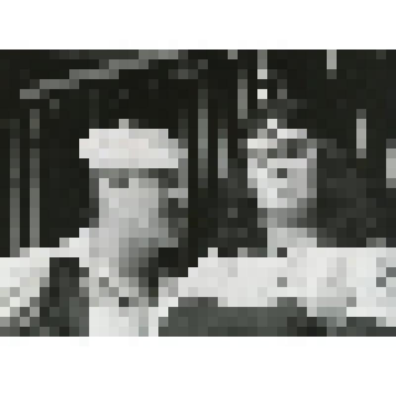Фотография. Сцена. Макмерфи - Н. Гаевский - стоит, погрудно, 3/4 влево, рот открыт; Вождь Ветла - В. Афанасьев - стоит, погрудно, фас, руки скрещены на груди. "А этот выпал из гнезда" (пост. Б. Голубовский, худ. Б. Мессерер). Москва, Театр им. Н.В. Гоголя