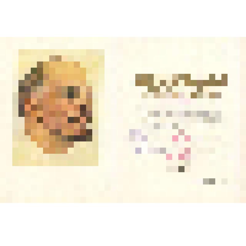 Грамота почетная  Кальницкого Дмитрия Ивановича