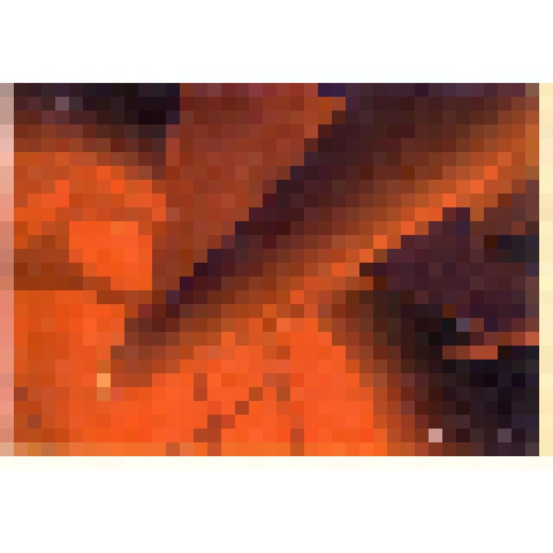 Открытка из набора открыток "Космическая фантазия"