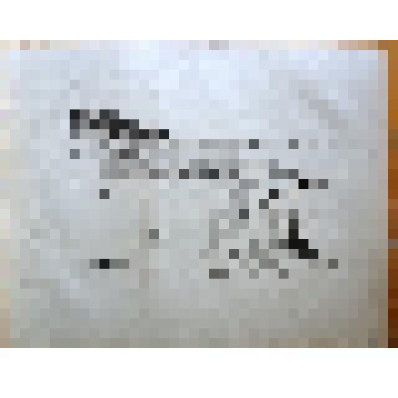 Автолитография "с. Михайловское. 16 сентября 1929 г." / цикл "Пушкинский заповедник"