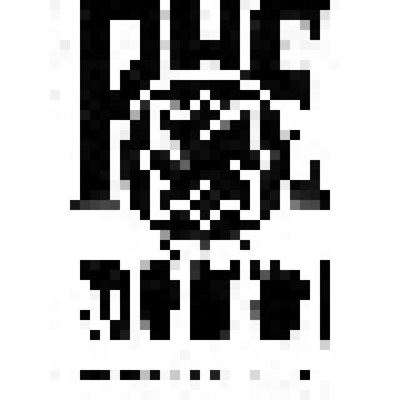 Листовка. Русский порядок!
