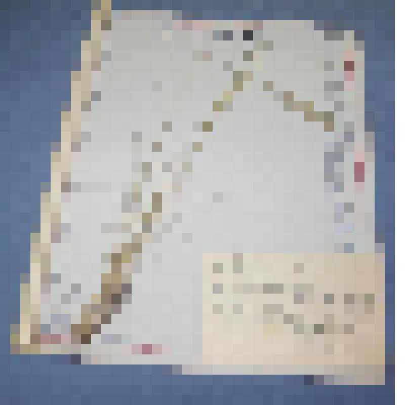 Ботаническая коллекция. Мятлик луговой, семейство злаковые, на гербарном листе. Cем.  Yramineae L  P. Poa  B. Poa  Pratensis