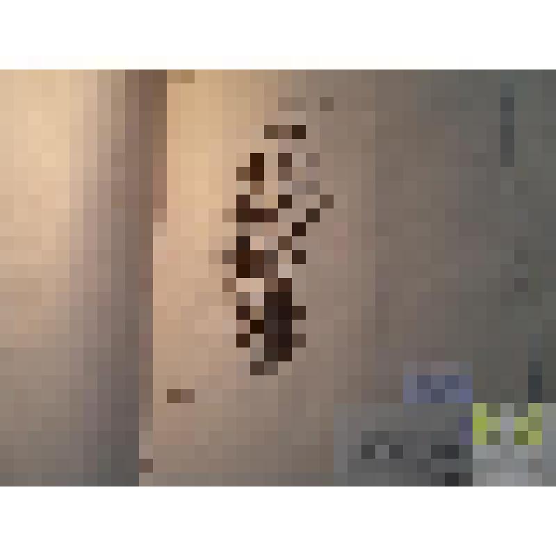 Облепиха крушиновидная (Hippophoe rhamnoides L.)