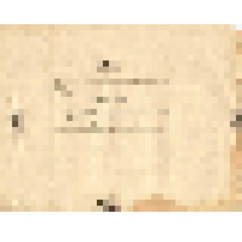 Телеграмма № 3394 в г. Чердынь В. Н.Алину от Петра Алина из г. Перми, 30.10.1884 г