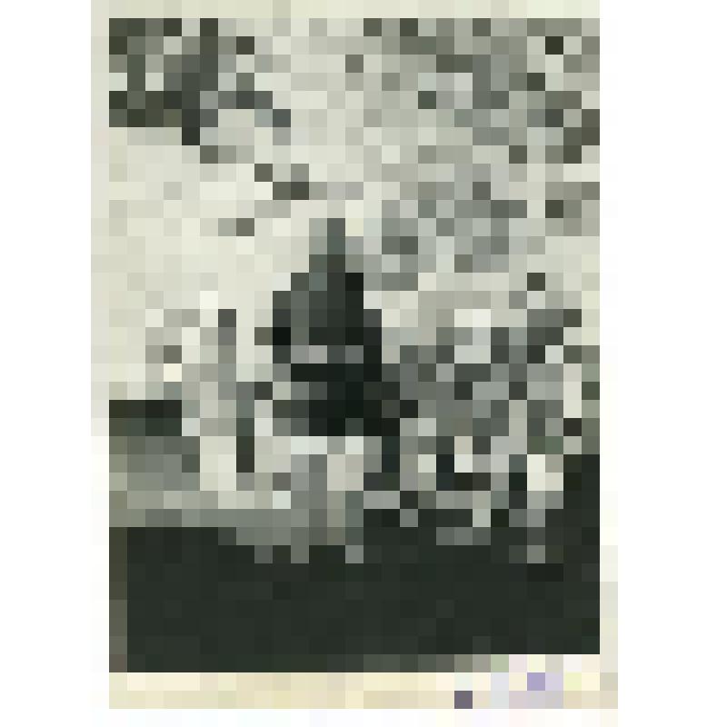 Экскурсия тульских школьников к Л.Н. Толстому в Ясную Поляну