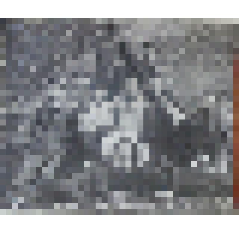 Фото. Звено «Юный кавалерист», 8-3 класс П.С.Ш