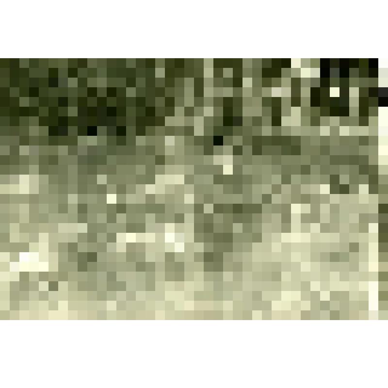 Фотография черно-белая. На участке 3-го дивизиона. Грингаровцы (Чехословакия). Из фотоальбома Л.И. Борисенко № 32 "Сейчас же после войны"