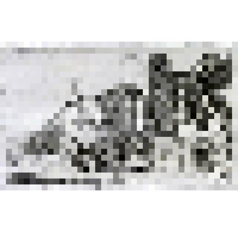 Лист 55 из альбома "Recueil de 58 Planches, grands, moyens et petits paysages"