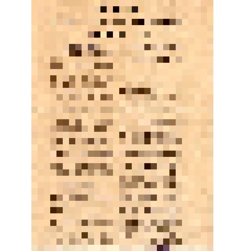 Устав Российской Коммунистической партии (большевиков)