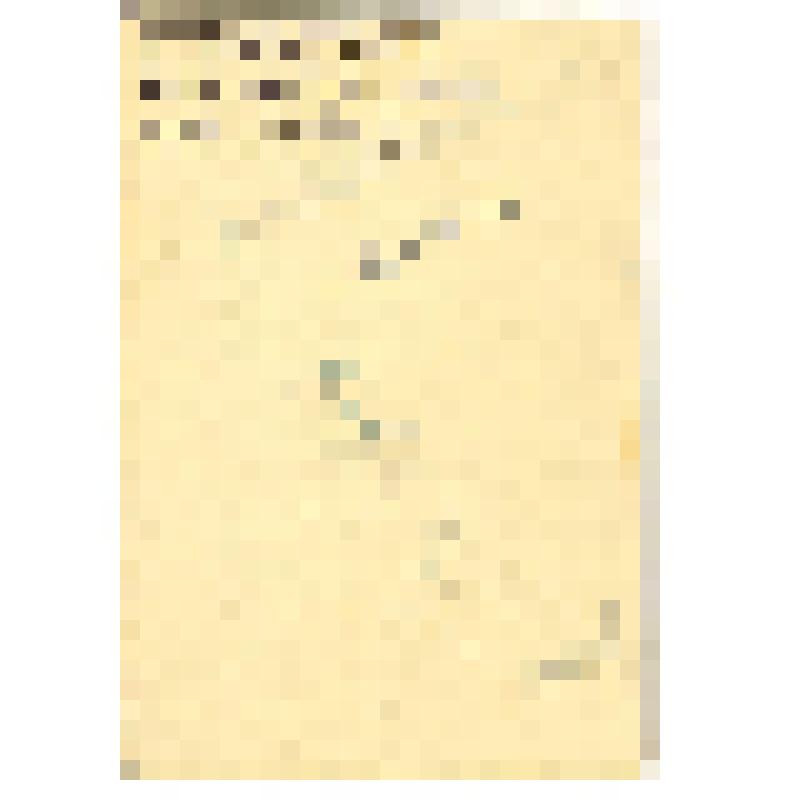 Фотопортрет. Дмитрия Александровича Быстролетова (1901 - 1975 гг.), советского разведчика-нелегала