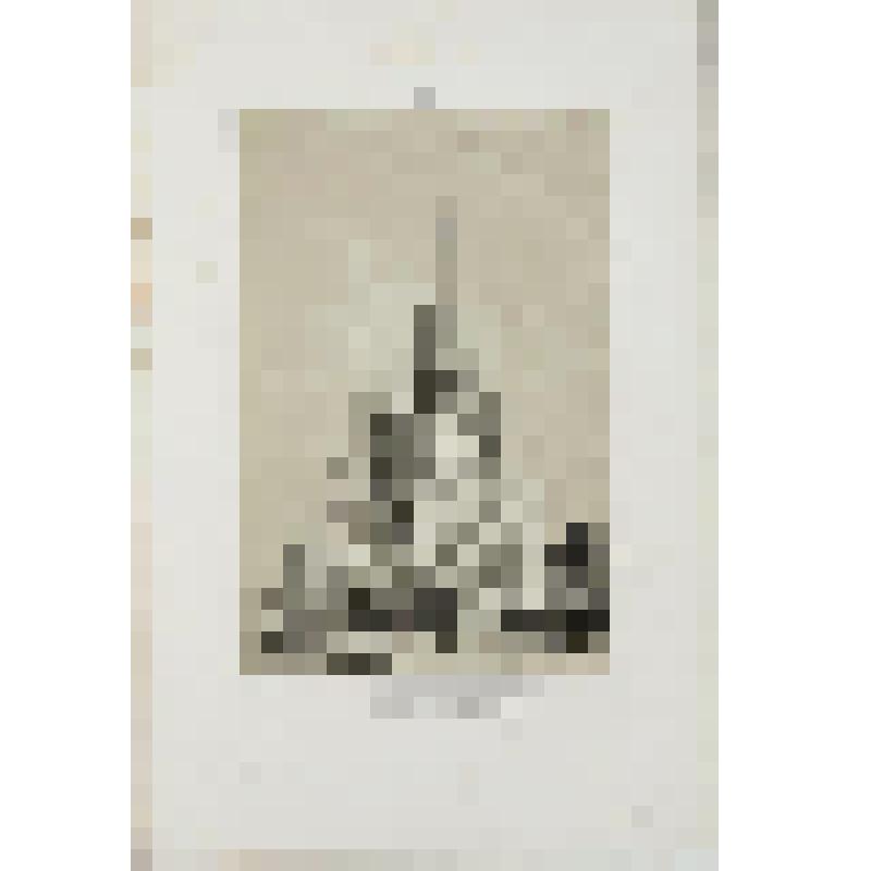 Литография. "Ярославль. Рождественский собор."