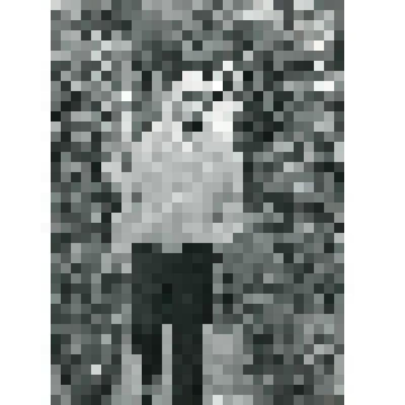 Фотография. Грушас, Ю., литовский драматург. Рост, фас. Спускается по аллее своего сада. В джемпере, левая рука в кармане брюк. На оборотной стороне автограф