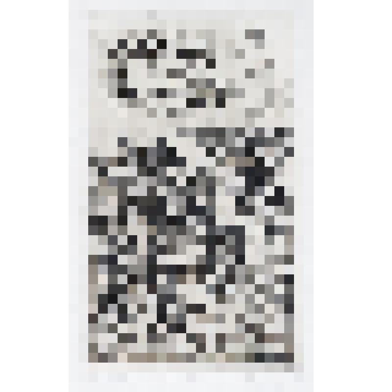 «Легенда о Браславе». 1979