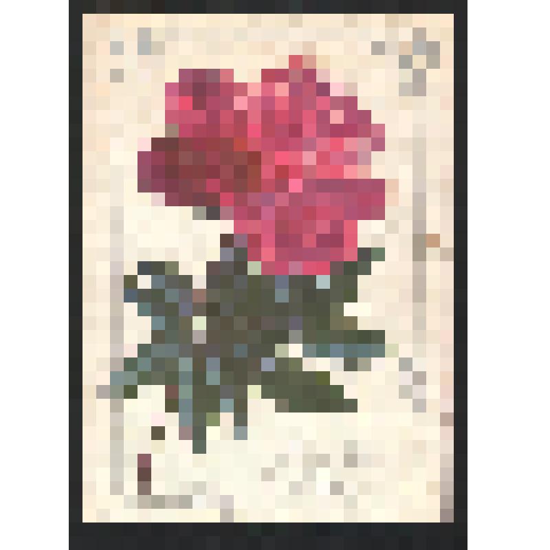 Поздравление Богомоловой З.А. неустановленному лицу с праздником- [Днем Советской Армии и Военно- Морского Флота? ]