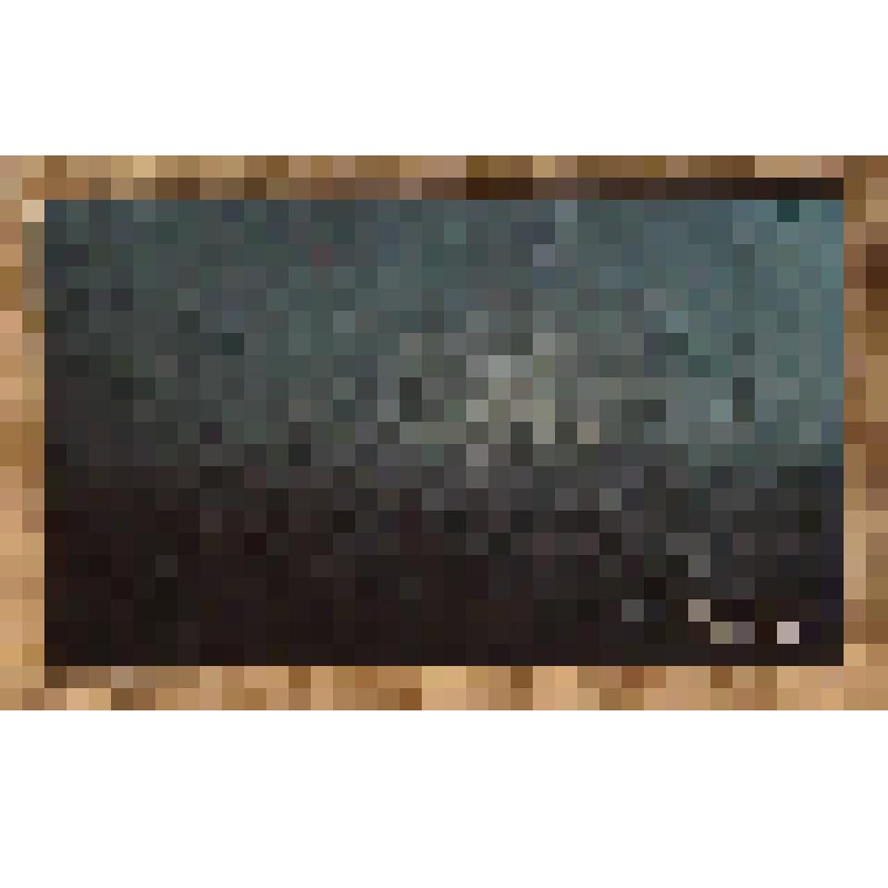 Коробок спичечный сувенирный "Адмиралъ", из набора спичек сувенирного "Адмиралъ"