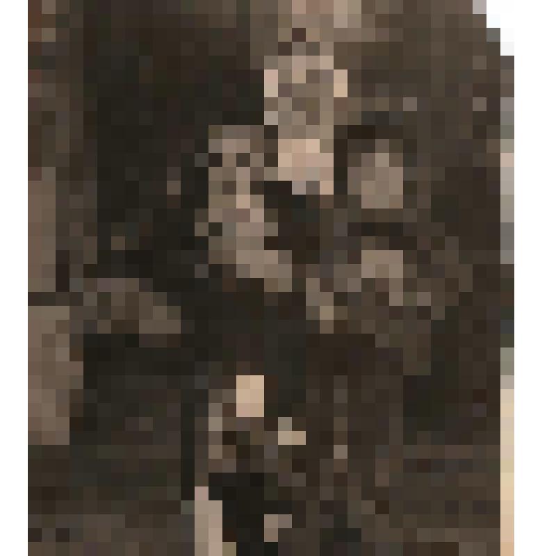 Фото. Бессоновой А.И. с правнуками Алёшей и Леной в доме