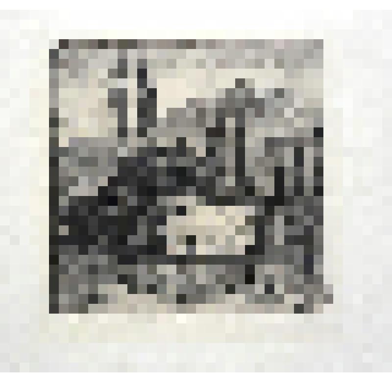 Гравюра. Дом с тополями