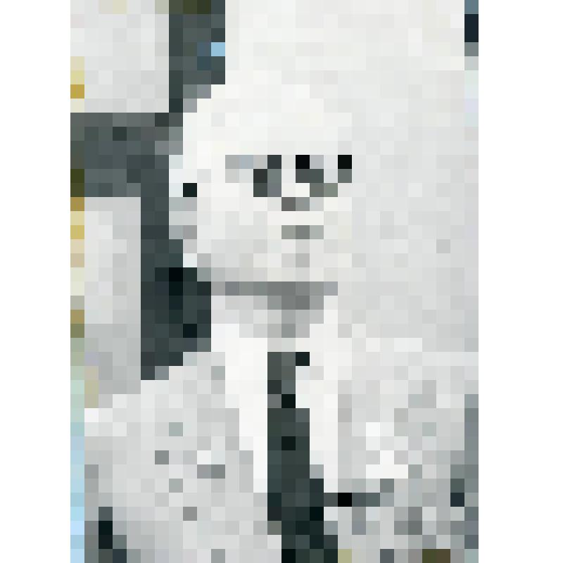 Фото "Шагимуратов Х.Ш. - рабочий красногвардеец. Управляющий делами Президиума Верховного Совета ТАССР в 1942 - 1946 гг."