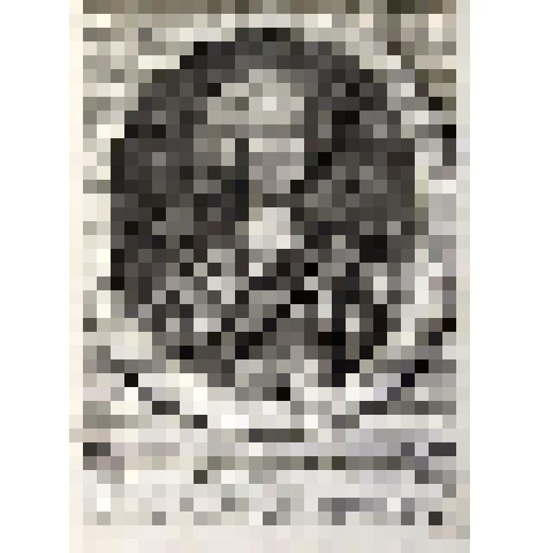 Charles VII. (Карл VII.) - гравюра из книги: Recueil des portraits des hommes illustres. T. VIII. (Сборник портретов знаменитых людей. T. VIII.) - на франц. яз