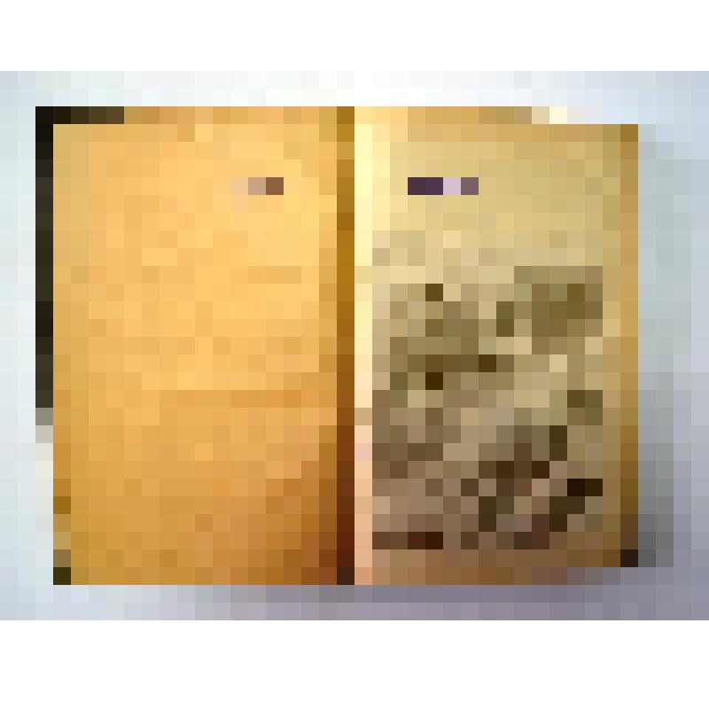 Энциклопедический словарь / Ф.А. Брокгауз, И.А. Ефрон. - Том V (кн.9). Буны - Вальтер. - С.-Петербург: Типография АО Брокгауз-Ефрон