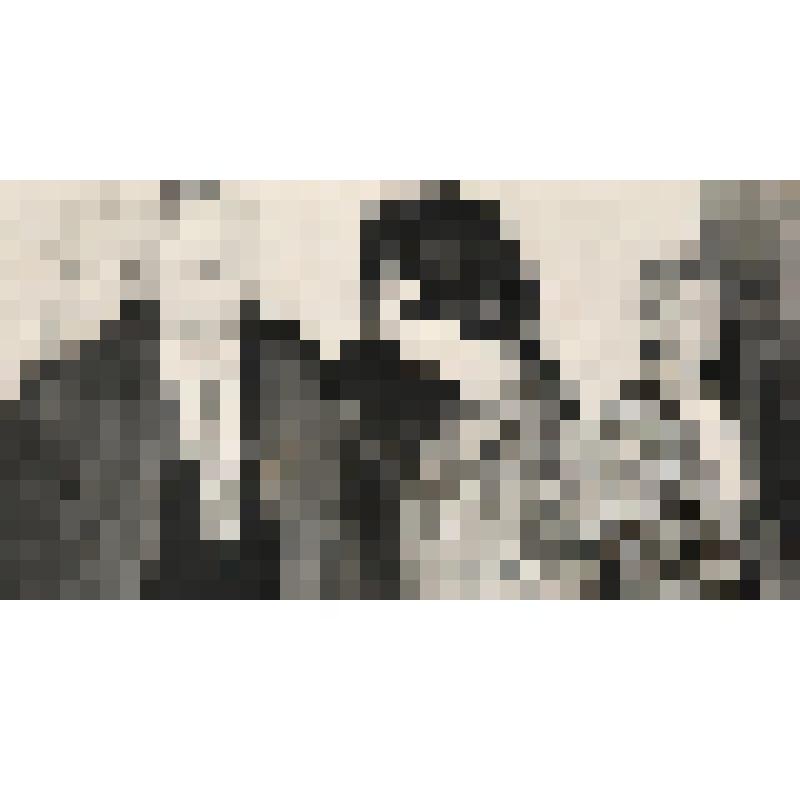 Фотография цветная групповая. Сотрудники Ливадийского дворца-музея:  Лозбень Наталья Степановна, Вересова Ольга Ивановна и президент Автономной Республики  Крым Мешков Юрий Александрович