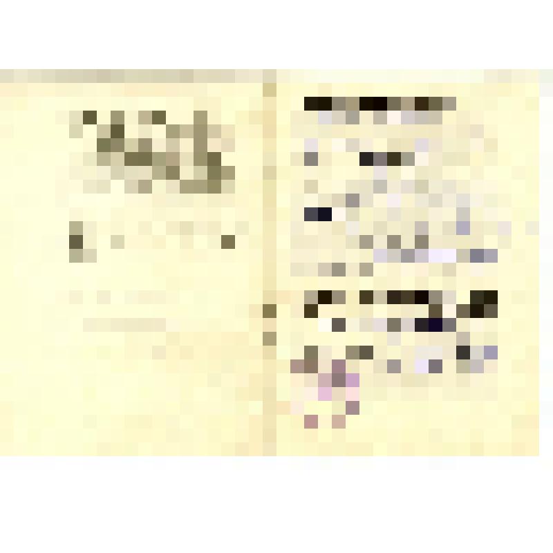 Книжка маршрутная № 24/86, выданная группе туристов ВГСЧ Норильска, совершившей с 15 по 24 июля 1986 года пешеходное путешествие в районе плато Путора