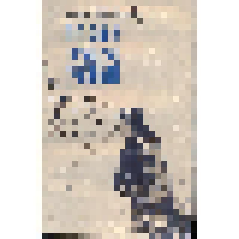 Книга. Песню нелегко сложить. - Иркутск: Иркутское книжное изд-во, 1959