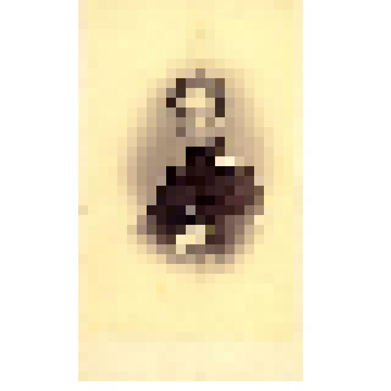 Фотография. Офицер