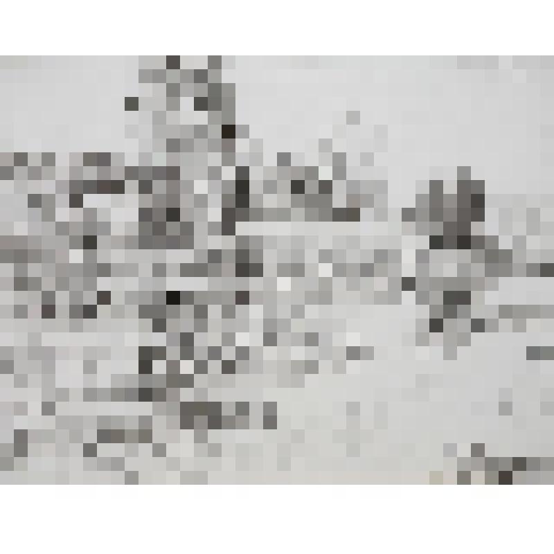 На том берегу. Рисунок