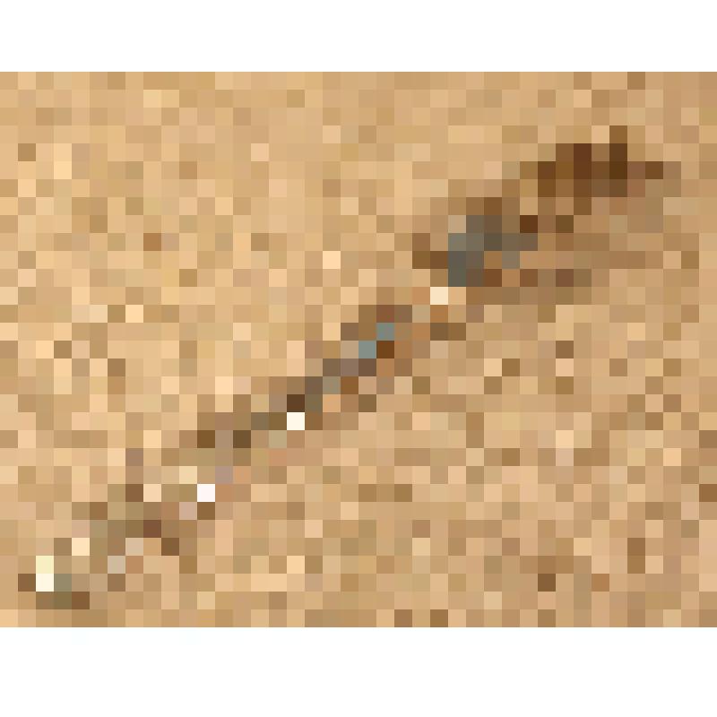 Вилка четырехзубая, из коллекции бытовых предметов семьи Быковой Валерии Алексеевны, преподавателя ПИ СГУ