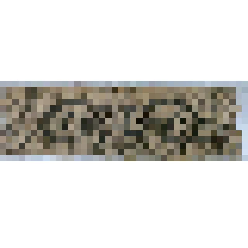 Фрагмент лобовой доски