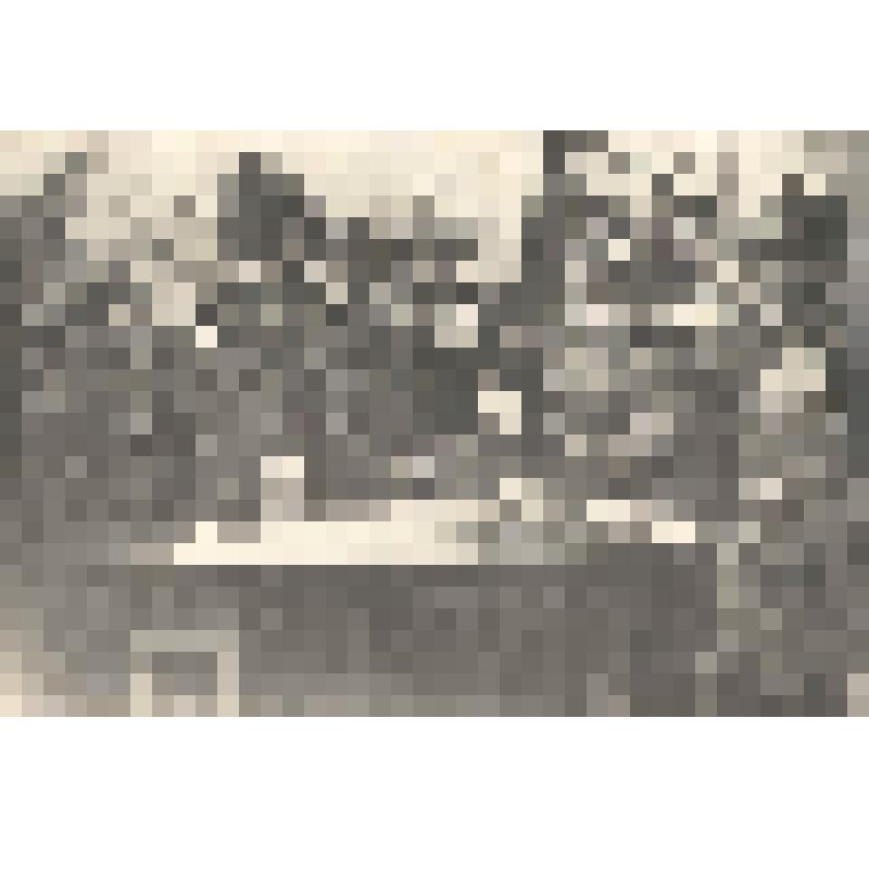 Фотография. Похороны Молчанова Григория Прохоровича